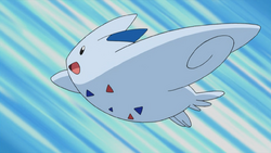 Dawn Togekiss.png