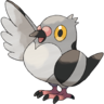 0519Pidove.png