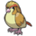 Pidgeot