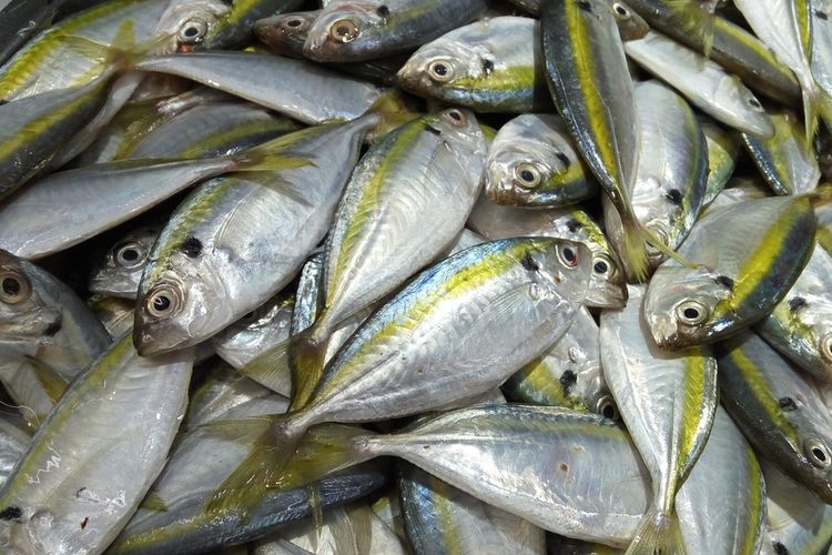 Harga Bahan Pokok Jumat 27 September 2024, Harga Ikan Kembung Naik