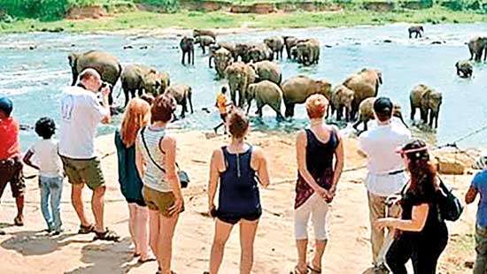 Tourist arrivals below expectation: SLTDA