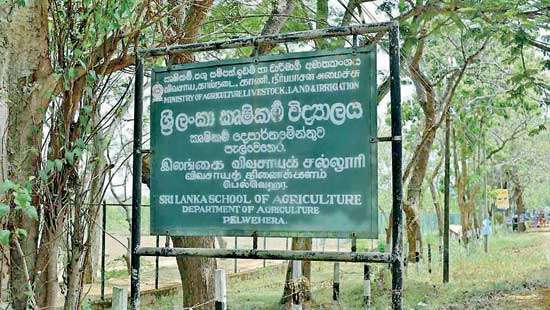 Plans afoot to sell Pelwehera’s School of Agriculture