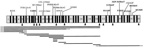 Figure  3