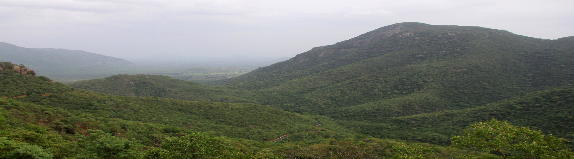 பிரதமரின் தேசிய நிவாரண நிதியம்