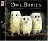 Cover of: Owl Babies