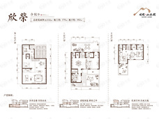 国信山水间合院D户型户型图