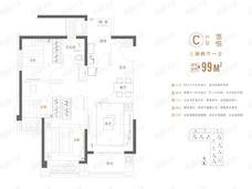 万科大都会C户型户型图