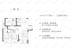 绿城明月滨河绿城明月滨河问月户型户型图