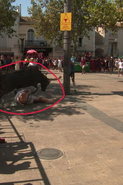 Spectateur blessé par un taureau lors de l'encierro de la fête votive de Mauguio (Hérault) en août 2024.