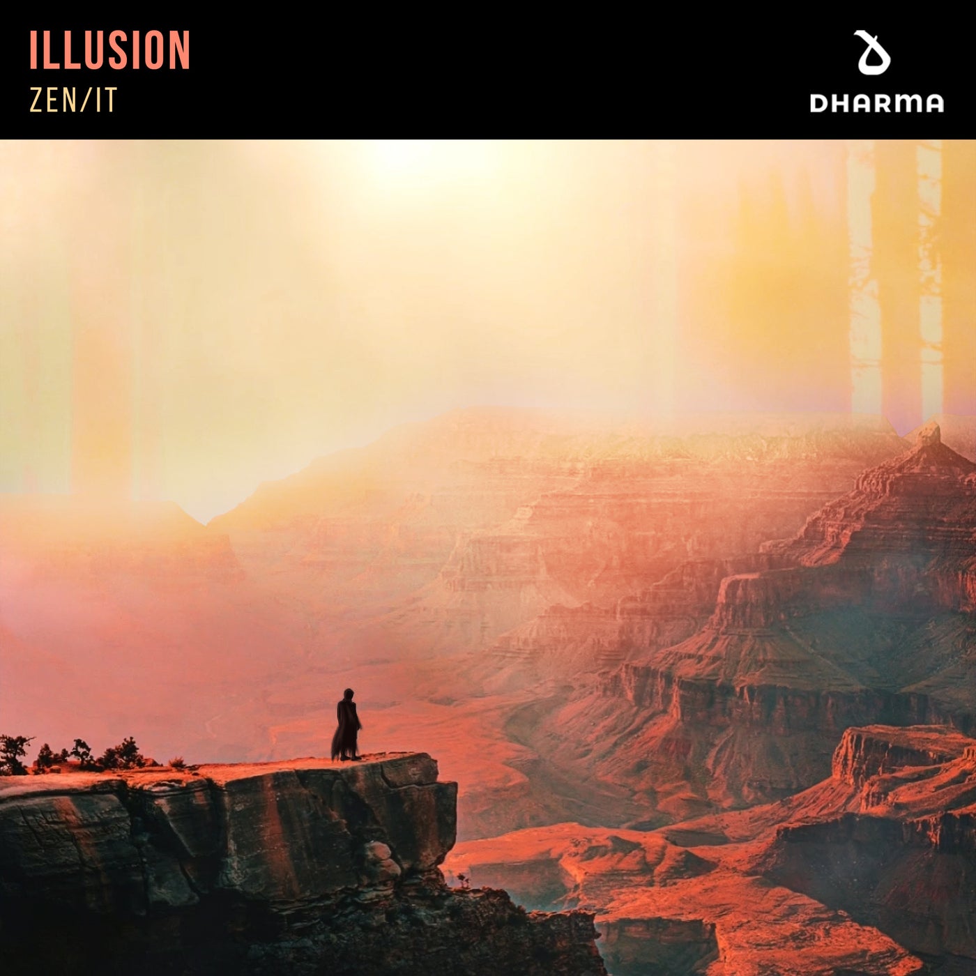 Illusion (Extended Mix)