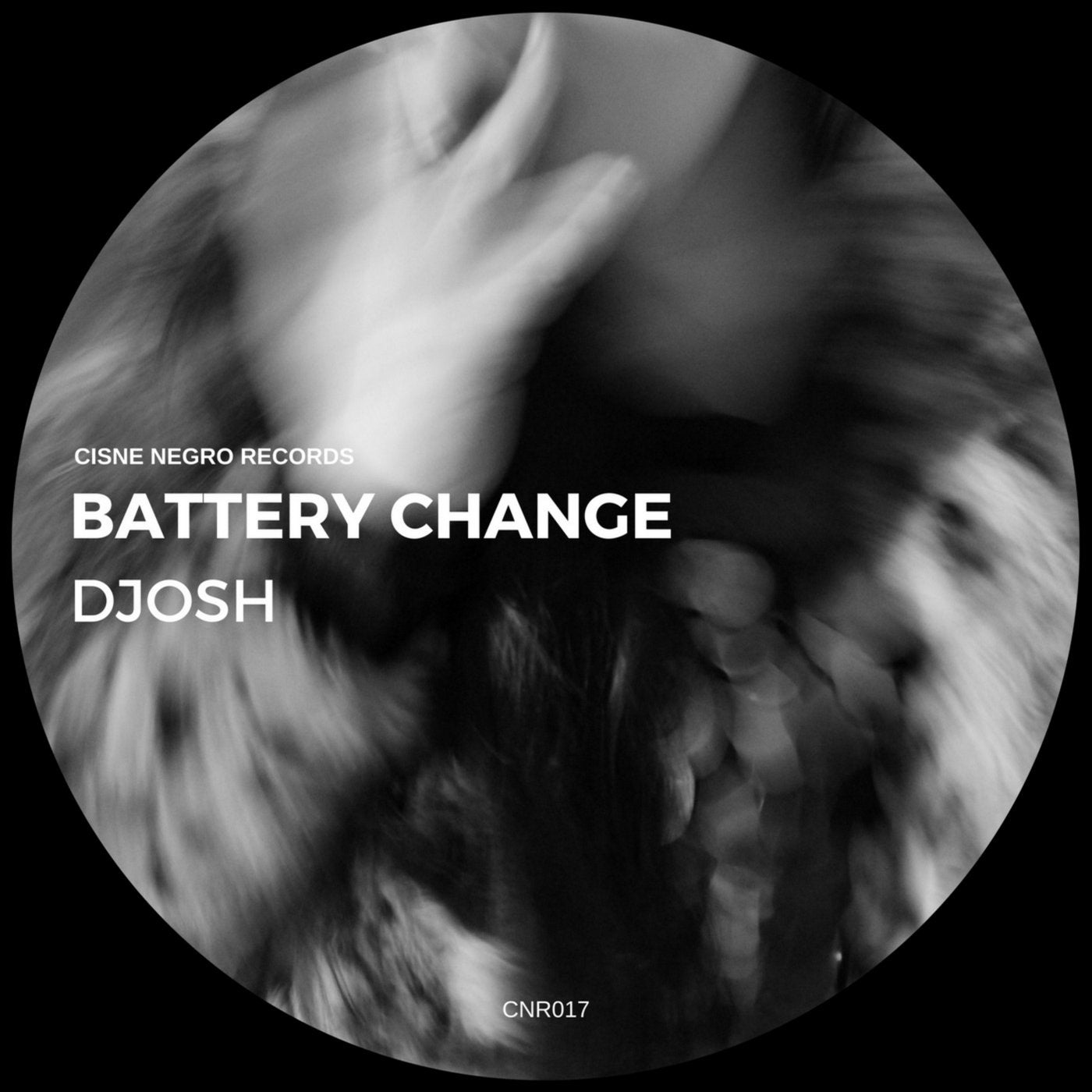 Battery Change