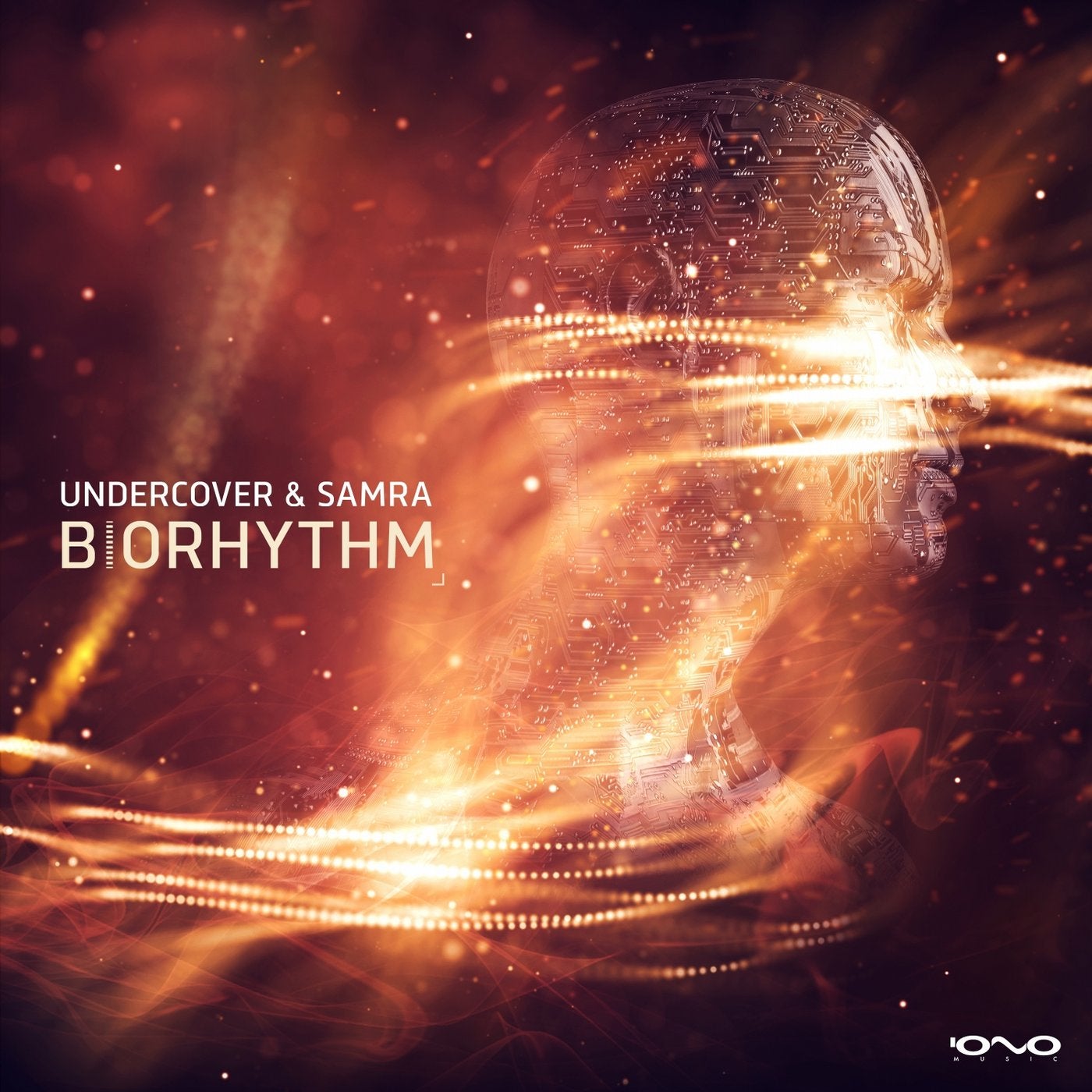 Biorhythm