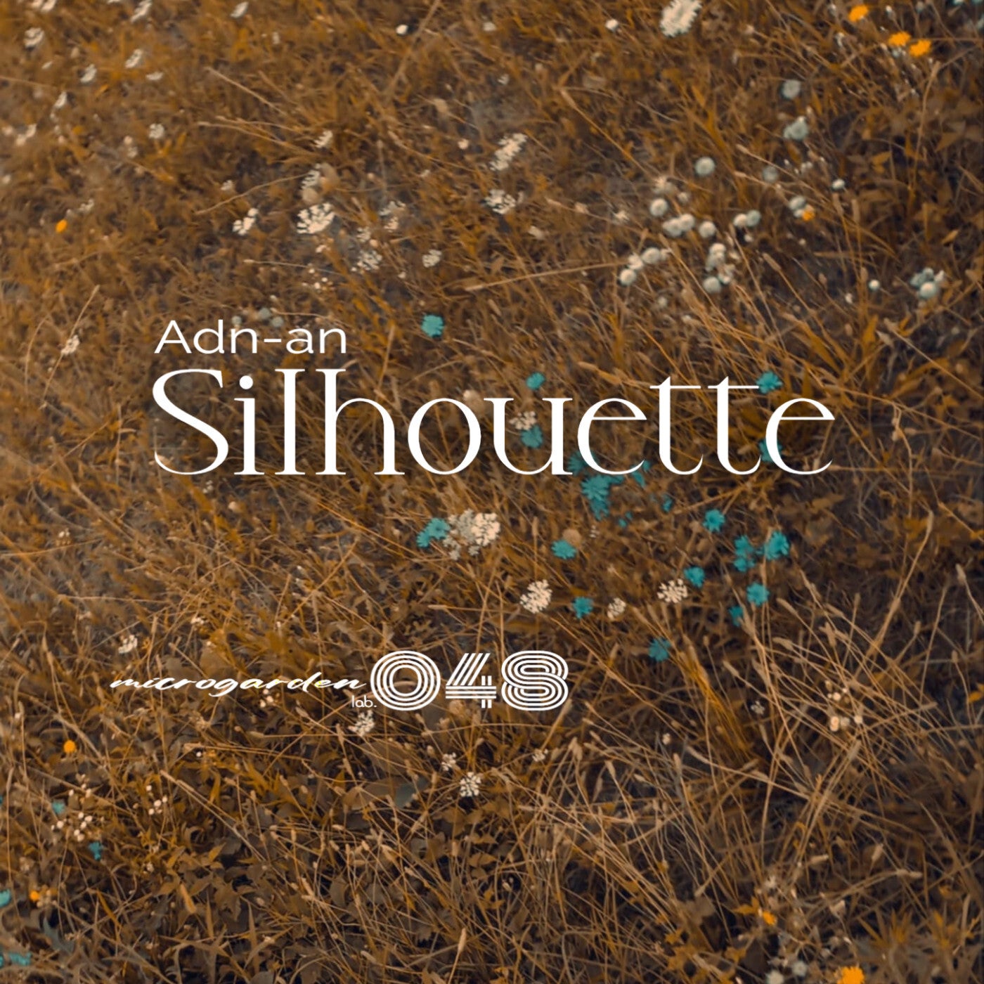 Silhouette EP