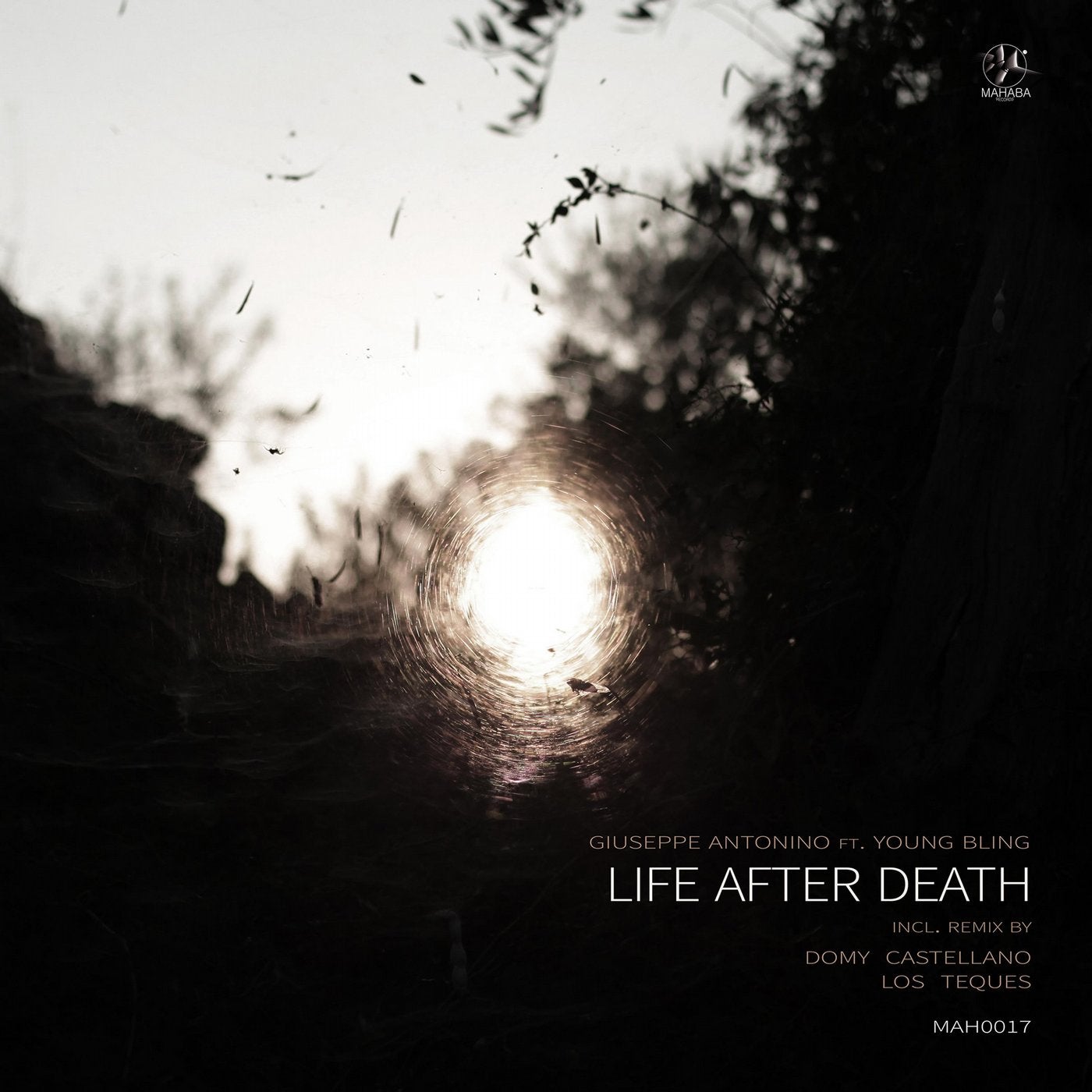 Life After Death