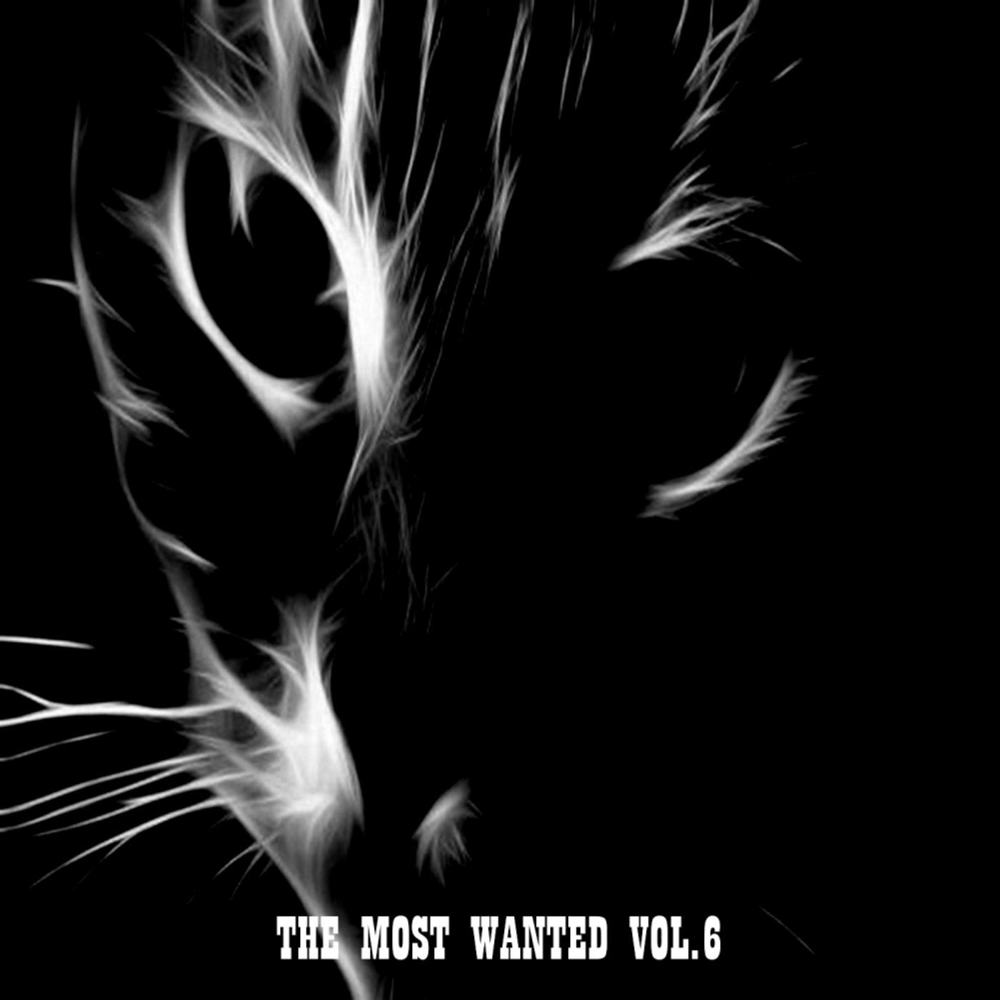 The Most Wanted, Vol. 6