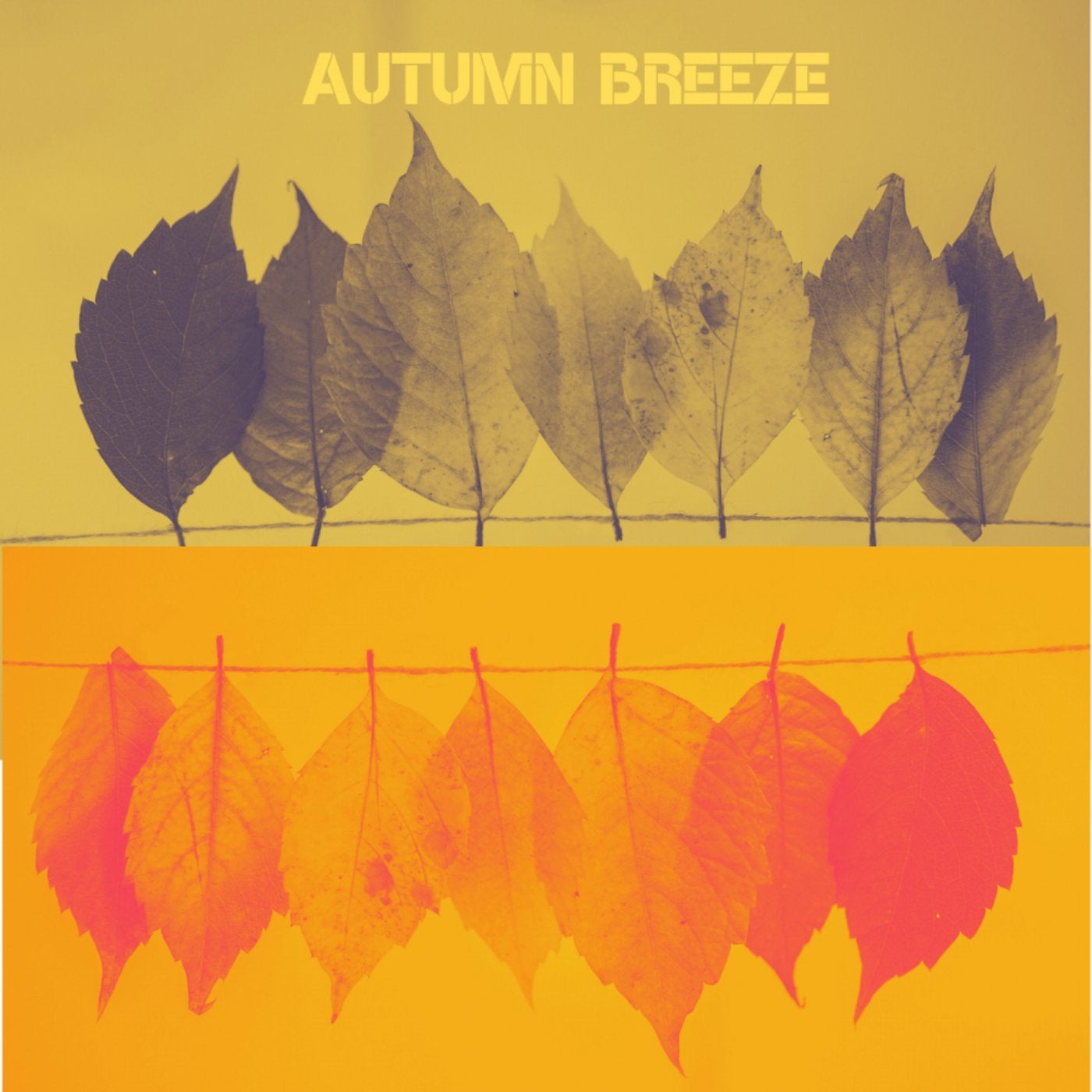 Autumn Breeze