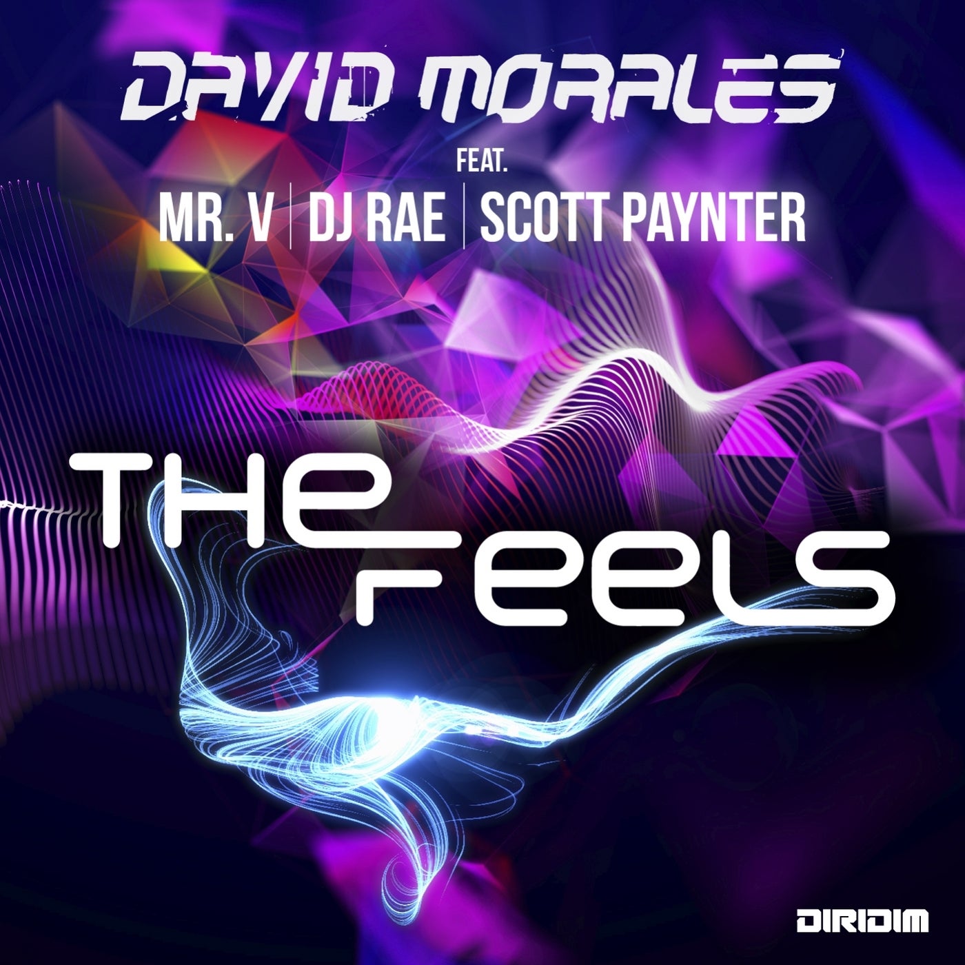 The Feels (feat. Mr. V, DJ Rae, Scott Paynter)