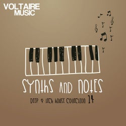 Synths And Notes 14