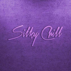 Silky Chill Chill House & Chill Out