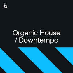 Best of Hype 2024: Organic House / Downtempo