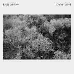 Kleiner Wind