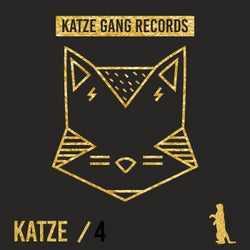 Katze 4