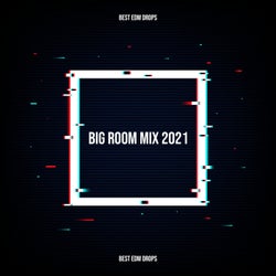 Big Room Mix 2021- Best EDM Drops