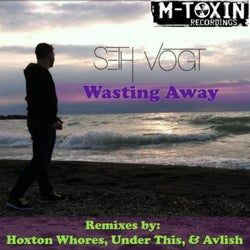 Seth Vogt - Wasting Away