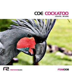 Cockatoo