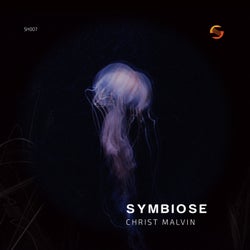 Symbiose