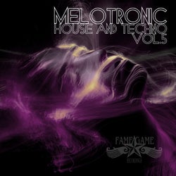 Melotronic House and Techno, Vol. 5