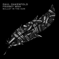 Bullet In The Gun