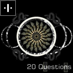 20 Questions