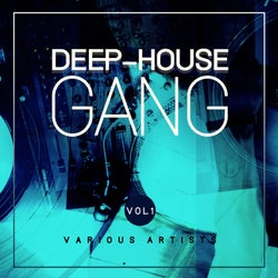 Deep-House Gang, Vol. 1