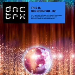 This is Big Room Vol. 02