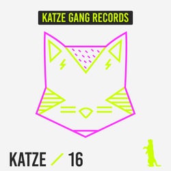 Katze 16