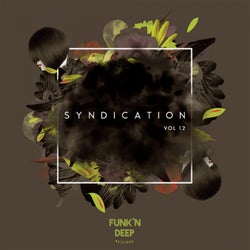 Syndication, Vol. 12