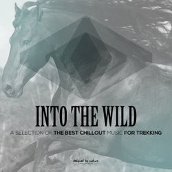 Into the Wild (A Selection of the Best Chillout Music for Trekking)