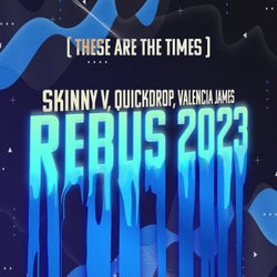 These Are the Times (Rebus 2023)