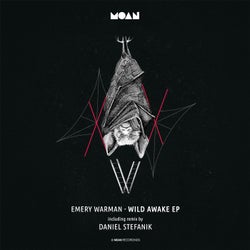 Wild Awake EP