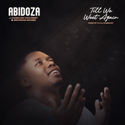 Till We Meet Again (Tribute to DJ Sumbody) [feat. Rams De Violinist & Mduduzi Ncube]