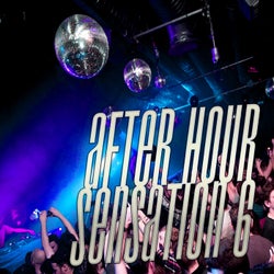 After Hour Sensation, Vol.6 (Perfect After Hour Tracks)