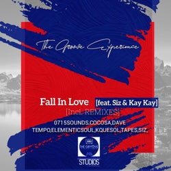 Fall in Love (Incl. Remixes) - Incl. Remixes