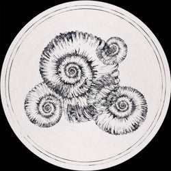 Perisphinctes Tiziani Remixes