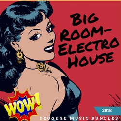 Wow Big Room-Electro House 2018