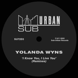 I Know You, I Live You - Remixes