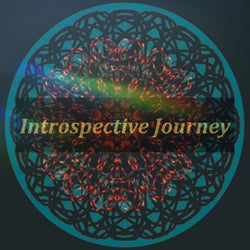 Introspective Journey