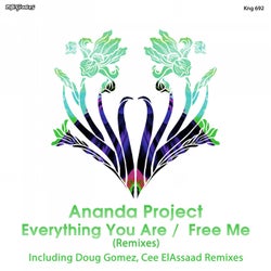 Everything You Are /  Free Me (Remixes)