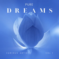 Pure Dreams, Vol. 1