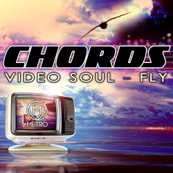 VIDEO SOUL / FLY